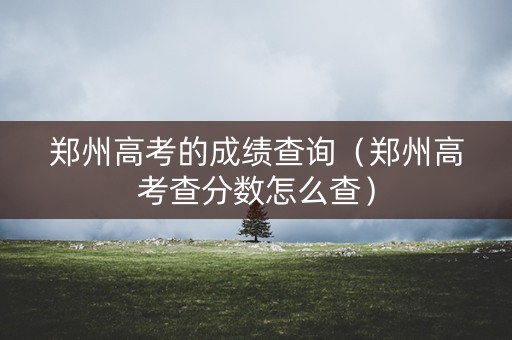 郑州高考的成绩查询（郑州高考查分数怎么查）