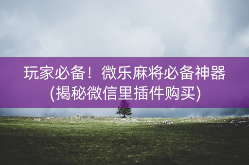 玩家必备！微乐麻将必备神器(揭秘微信里插件购买)
