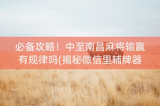 必备攻略！中至南昌麻将输赢有规律吗(揭秘微信里辅牌器)