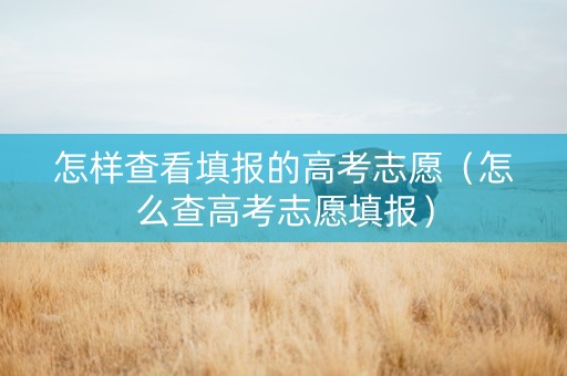 怎样查看填报的高考志愿（怎么查高考志愿填报）
