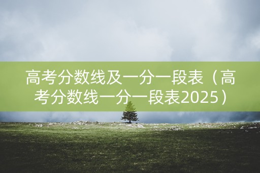 高考分数线及一分一段表（高考分数线一分一段表2025）