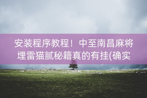 安装程序教程！中至南昌麻将埋雷猫腻秘籍真的有挂(确实真有挂)