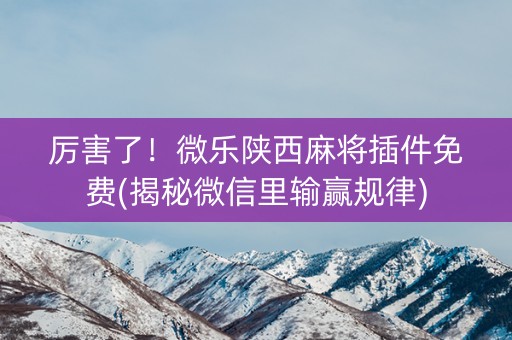 厉害了！微乐陕西麻将插件免费(揭秘微信里输赢规律)