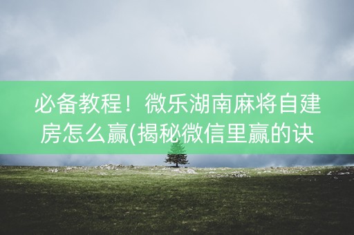 必备教程！微乐湖南麻将自建房怎么赢(揭秘微信里赢的诀窍)