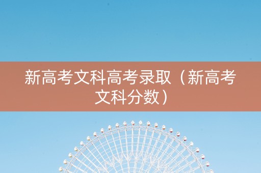 新高考文科高考录取（新高考文科分数）