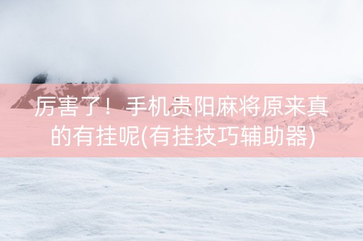 厉害了！手机贵阳麻将原来真的有挂呢(有挂技巧辅助器)