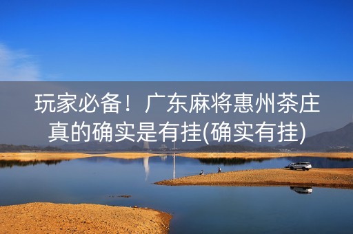 玩家必备！广东麻将惠州茶庄真的确实是有挂(确实有挂)