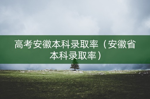 高考安徽本科录取率（安徽省本科录取率）