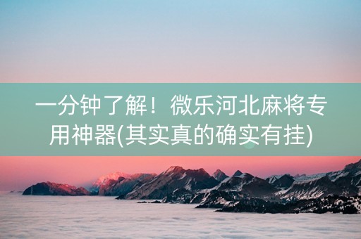 一分钟了解！微乐河北麻将专用神器(其实真的确实有挂)