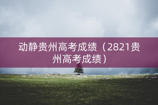 动静贵州高考成绩（2821贵州高考成绩）
