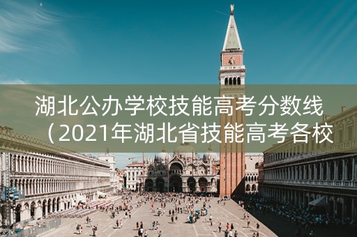 湖北公办学校技能高考分数线（2021年湖北省技能高考各校分数线）