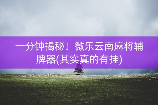 一分钟揭秘！微乐云南麻将辅牌器(其实真的有挂)