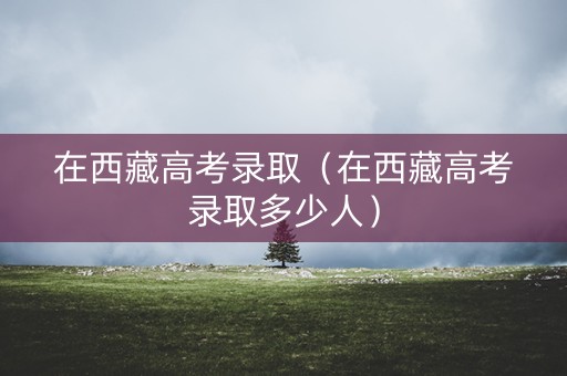 在西藏高考录取（在西藏高考录取多少人）