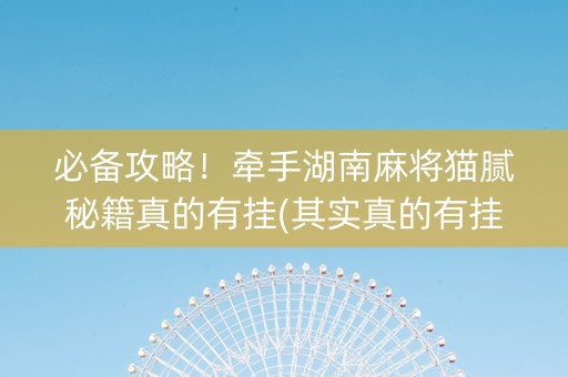 必备攻略！牵手湖南麻将猫腻秘籍真的有挂(其实真的有挂)