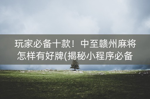 玩家必备十款！中至赣州麻将怎样有好牌(揭秘小程序必备神器)