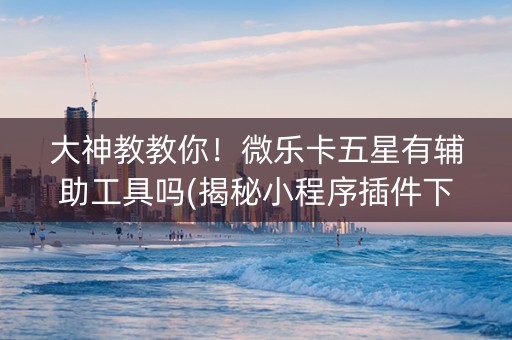 大神教教你！微乐卡五星有辅助工具吗(揭秘小程序插件下载)