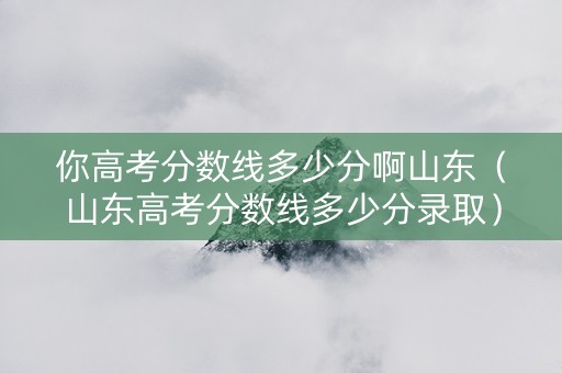 你高考分数线多少分啊山东（山东高考分数线多少分录取）