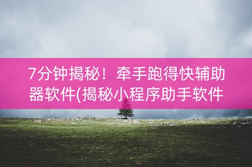 7分钟揭秘！牵手跑得快辅助器软件(揭秘小程序助手软件)