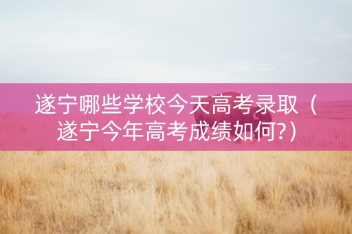 遂宁哪些学校今天高考录取（遂宁今年高考成绩如何?）