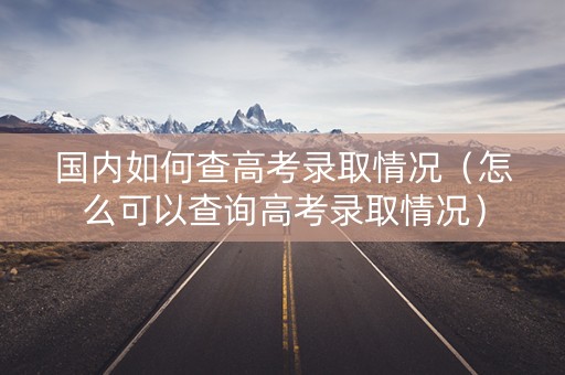 国内如何查高考录取情况（怎么可以查询高考录取情况）