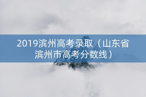2019滨州高考录取（山东省滨州市高考分数线）