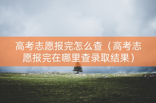 高考志愿报完怎么查（高考志愿报完在哪里查录取结果）
