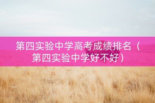 第四实验中学高考成绩排名（第四实验中学好不好）