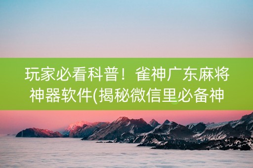 玩家必看科普！雀神广东麻将神器软件(揭秘微信里必备神器)