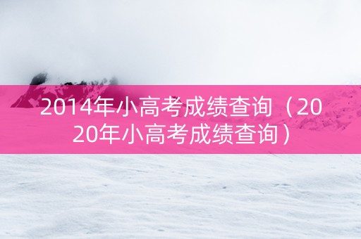 2014年小高考成绩查询（2020年小高考成绩查询）