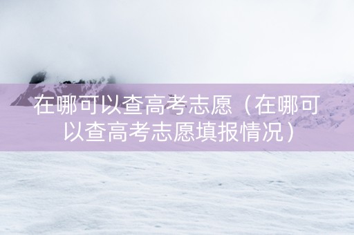 在哪可以查高考志愿（在哪可以查高考志愿填报情况）