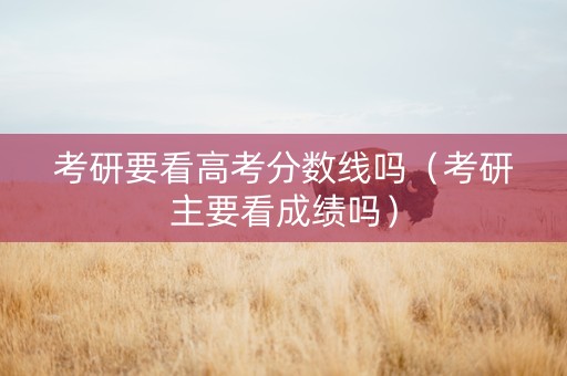 考研要看高考分数线吗（考研主要看成绩吗）