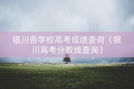 银川各学校高考成绩查询（银川高考分数线查询）