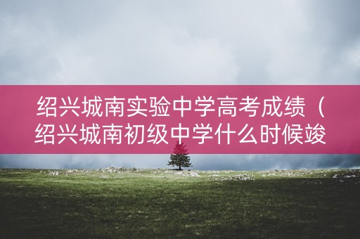 绍兴城南实验中学高考成绩（绍兴城南初级中学什么时候竣工）
