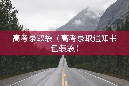 高考录取袋（高考录取通知书包装袋）