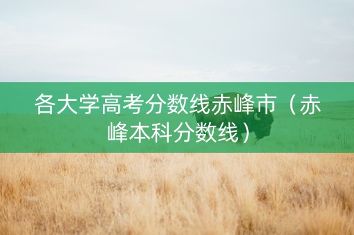 各大学高考分数线赤峰市（赤峰本科分数线）