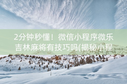 2分钟秒懂！微信小程序微乐吉林麻将有技巧吗(揭秘小程序必备神器)