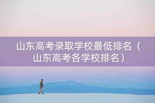 山东高考录取学校最低排名（山东高考各学校排名）