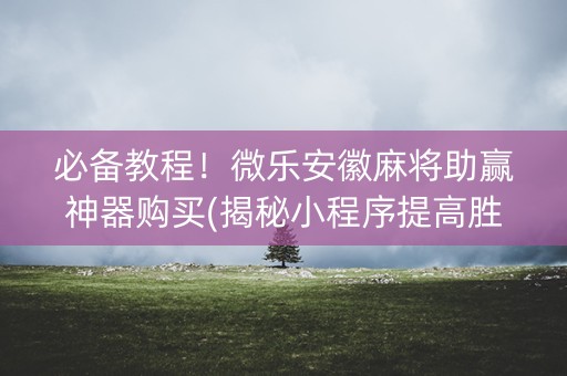 必备教程！微乐安徽麻将助赢神器购买(揭秘小程序提高胜率)