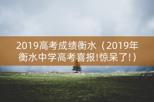 2019高考成绩衡水（2019年衡水中学高考喜报!惊呆了!）