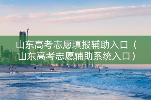 山东高考志愿填报辅助入口（山东高考志愿辅助系统入口）