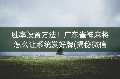 胜率设置方法！广东雀神麻将怎么让系统发好牌(揭秘微信里系统发好牌)