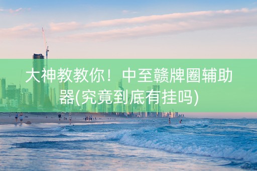 大神教教你！中至赣牌圈辅助器(究竟到底有挂吗)
