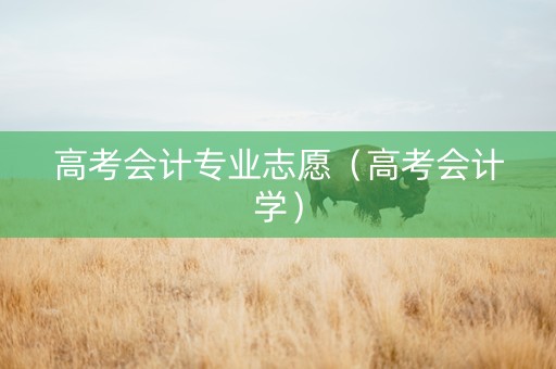 高考会计专业志愿（高考会计学）