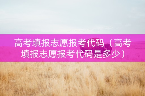 高考填报志愿报考代码（高考填报志愿报考代码是多少）