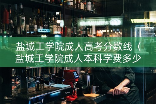 盐城工学院成人高考分数线（盐城工学院成人本科学费多少）