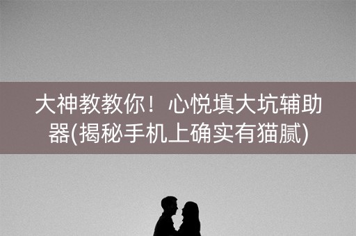 大神教教你！心悦填大坑辅助器(揭秘手机上确实有猫腻)