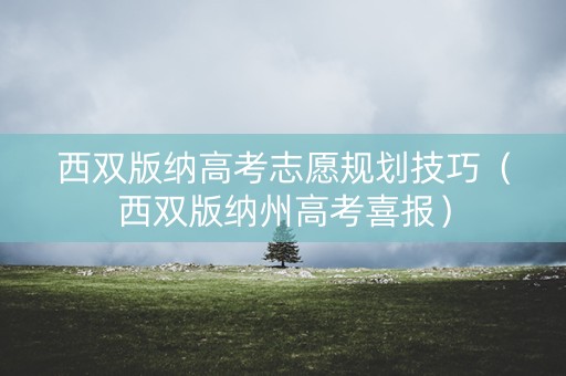 西双版纳高考志愿规划技巧（西双版纳州高考喜报）