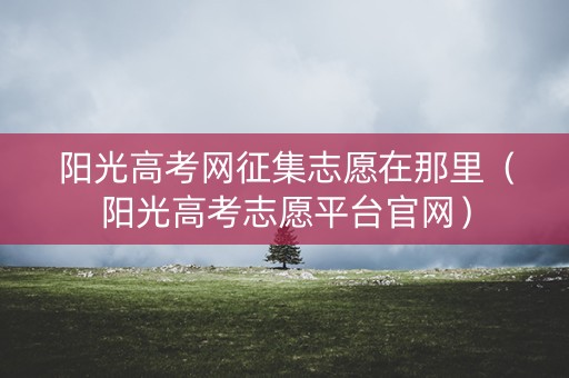 阳光高考网征集志愿在那里（阳光高考志愿平台官网）