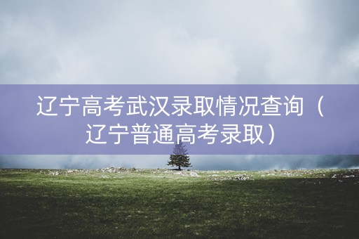 辽宁高考武汉录取情况查询（辽宁普通高考录取）