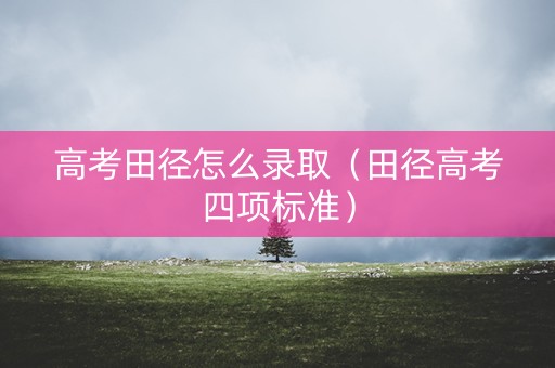 高考田径怎么录取（田径高考四项标准）